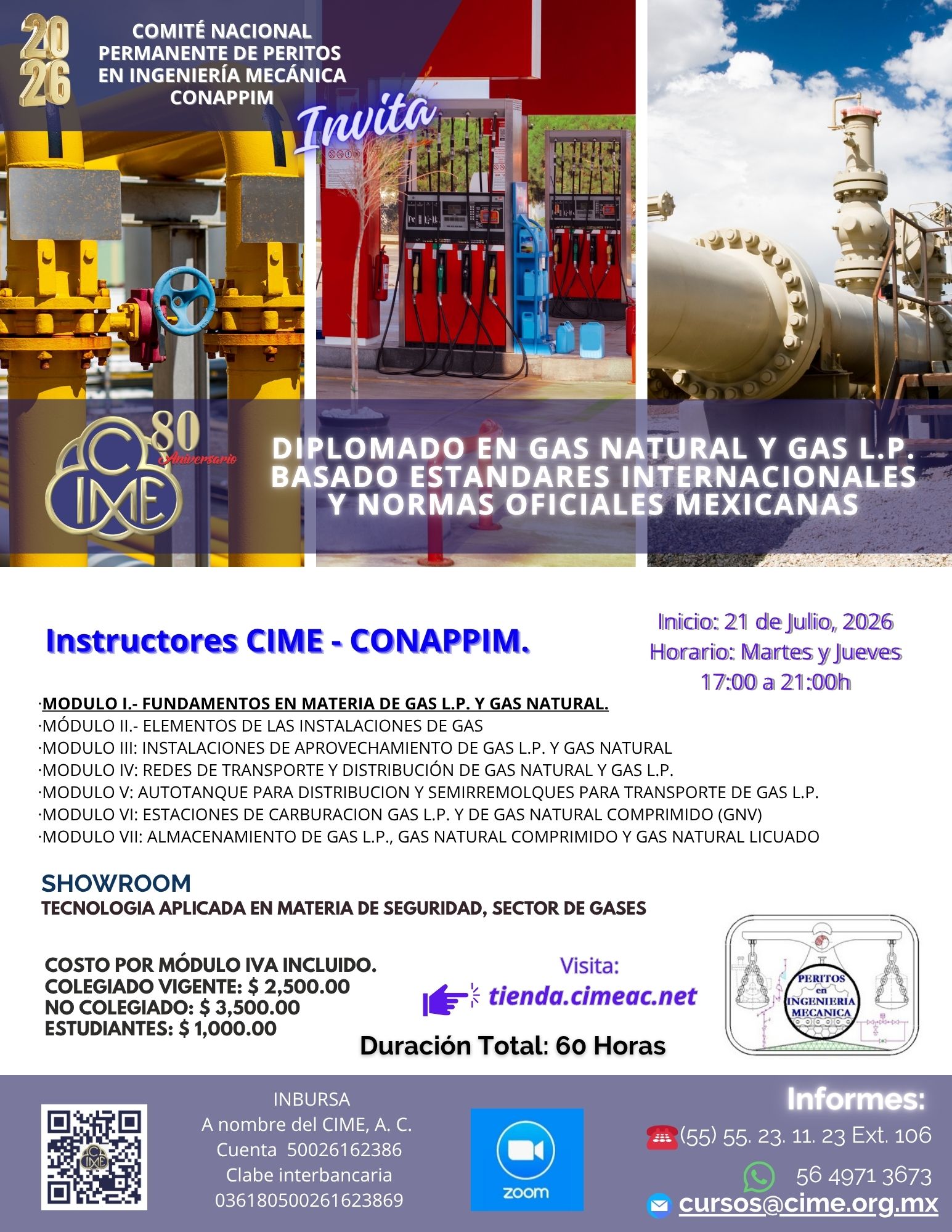 DIPLOMADO GASES V11